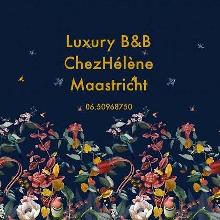 Chez Helene Luxury Appartment Maastricht Kültér fotó